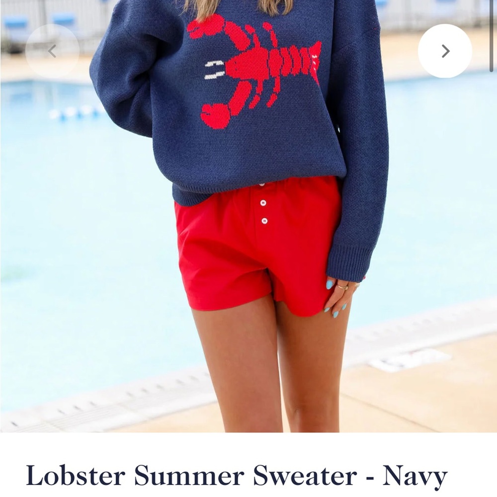 Bailey Rose Navy Lobster Sweater S - Picture 2 of 5